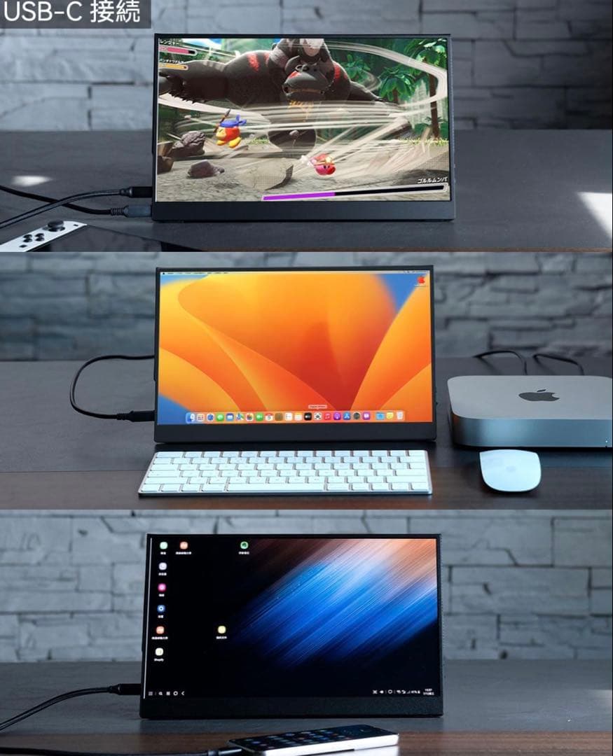 Intelli 13.3インチ OLED モニター F13NA