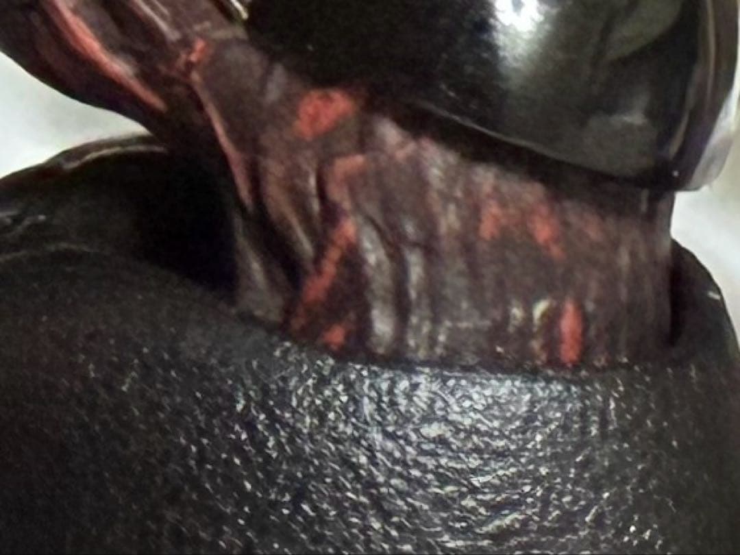 S.H.Figuarts（真骨彫製法） 仮面ライダーBLACK