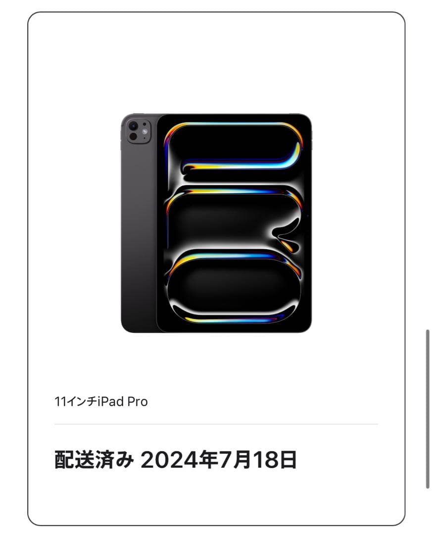 11インチiPad Pro(M4) 256GB Wi-Fiモデル ジャンク品