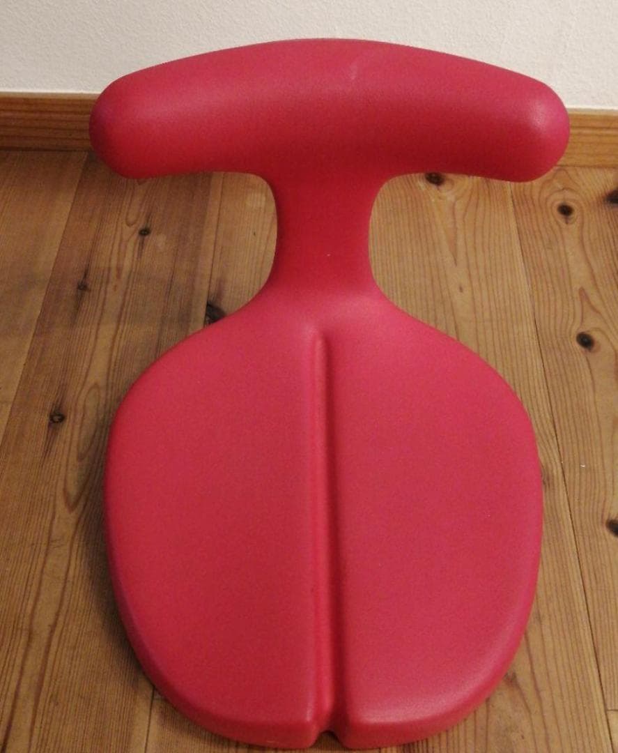 アーユル メディカルシート ayur medical seat 赤/姿勢矯正最適