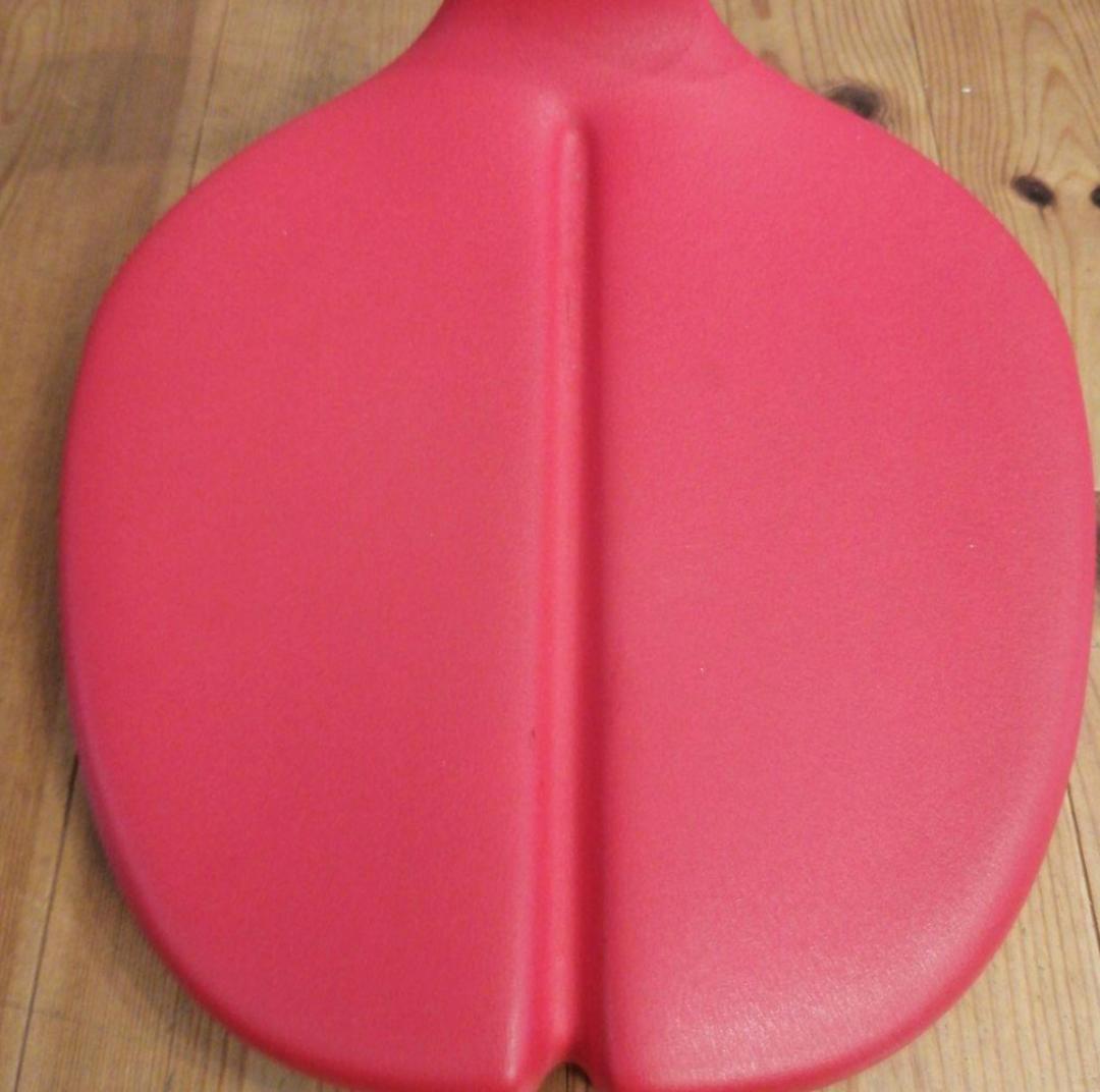 アーユル メディカルシート ayur medical seat 赤/姿勢矯正最適