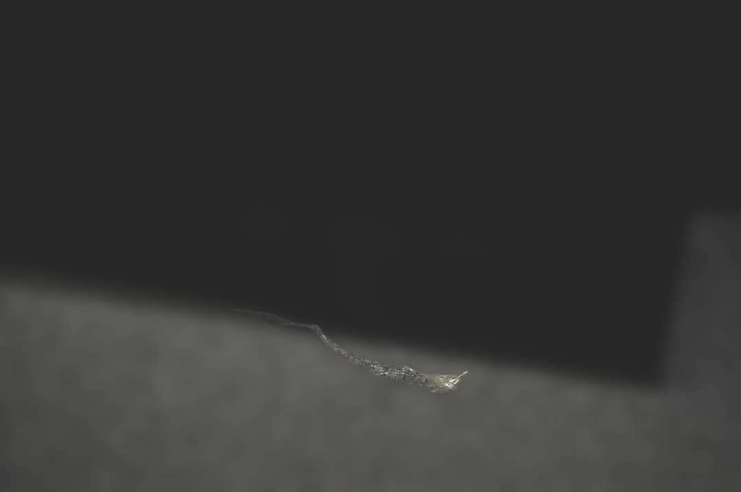 SONY 有機ELテレビ XRJ-65A95K TA2862