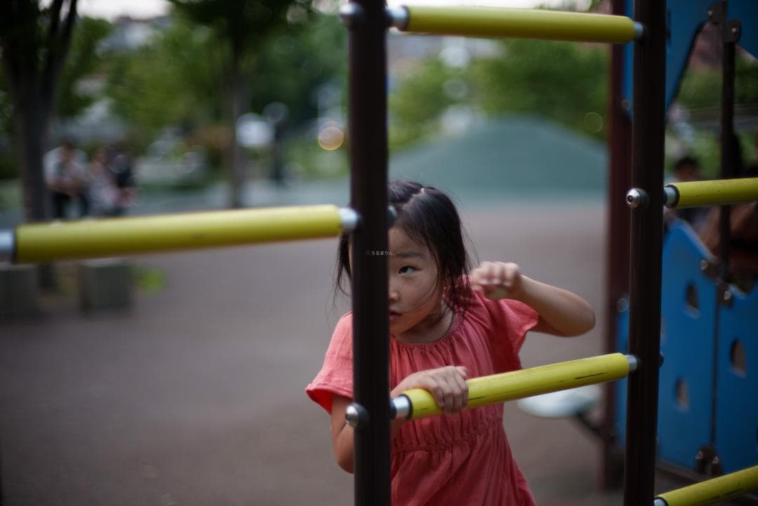 夜と言う名のレンズ Voigtlander NOKTON 50mm F1.1