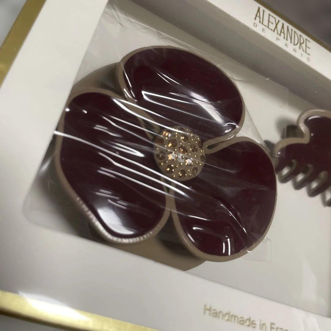 ALEXANDRE DE PARIS ヘアクリップセット