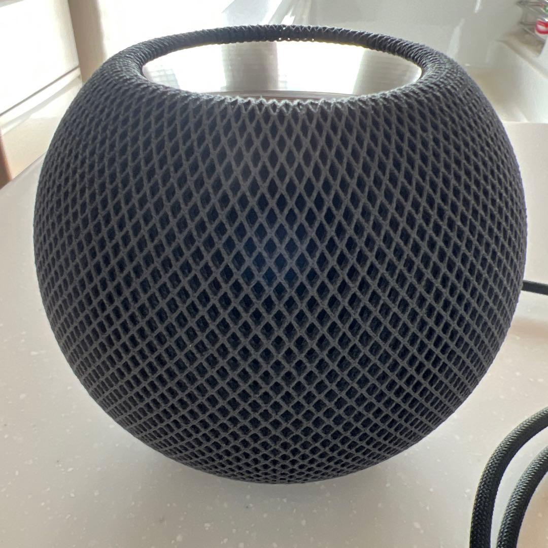 アップル Apple Pod mini スペースグレー