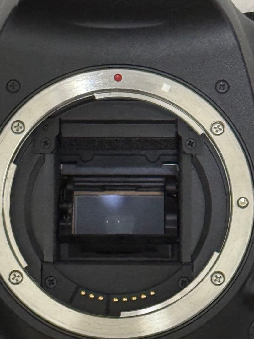 Canon 一眼 7D セット