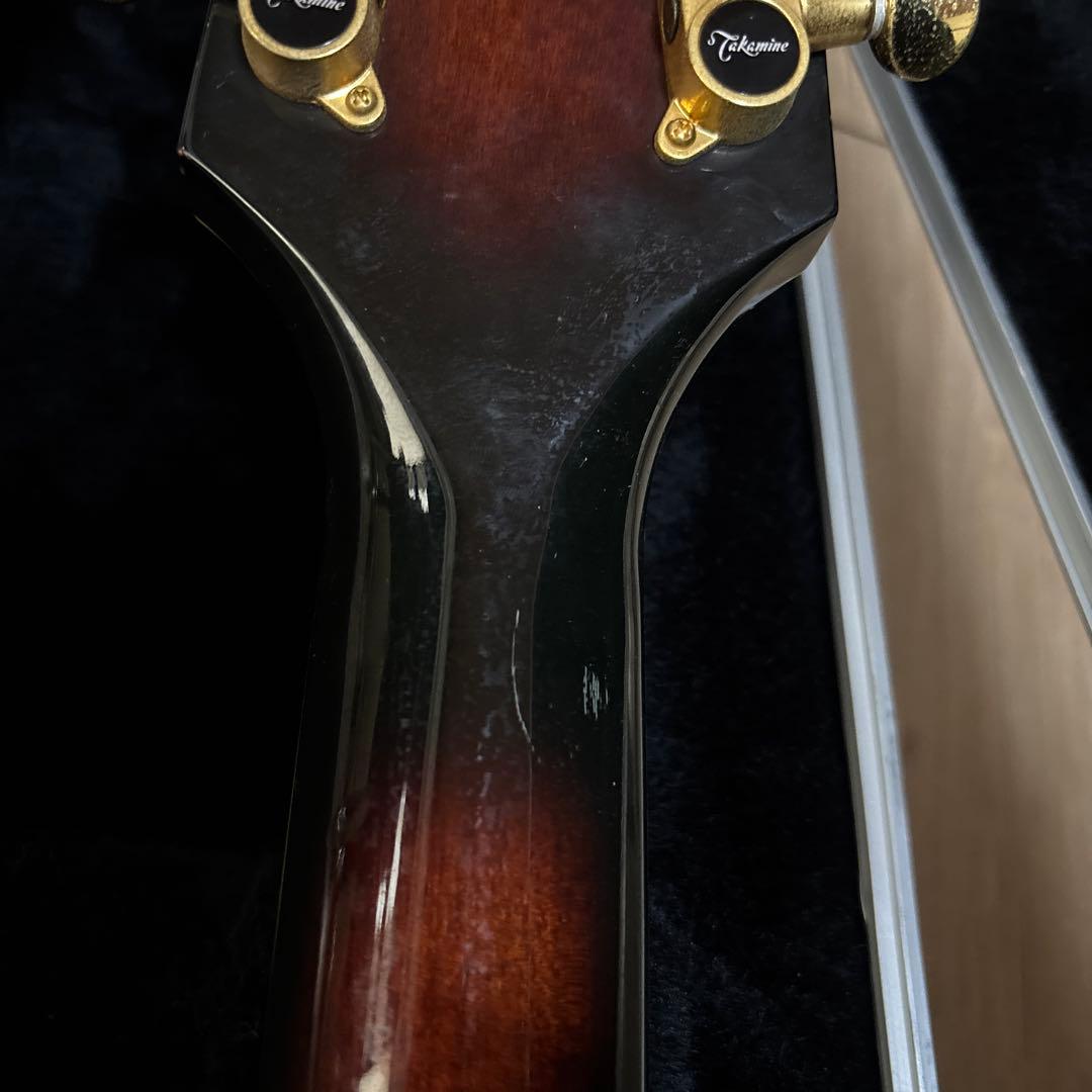 タカミネ NPT-115 エレアコ ハードケースつき