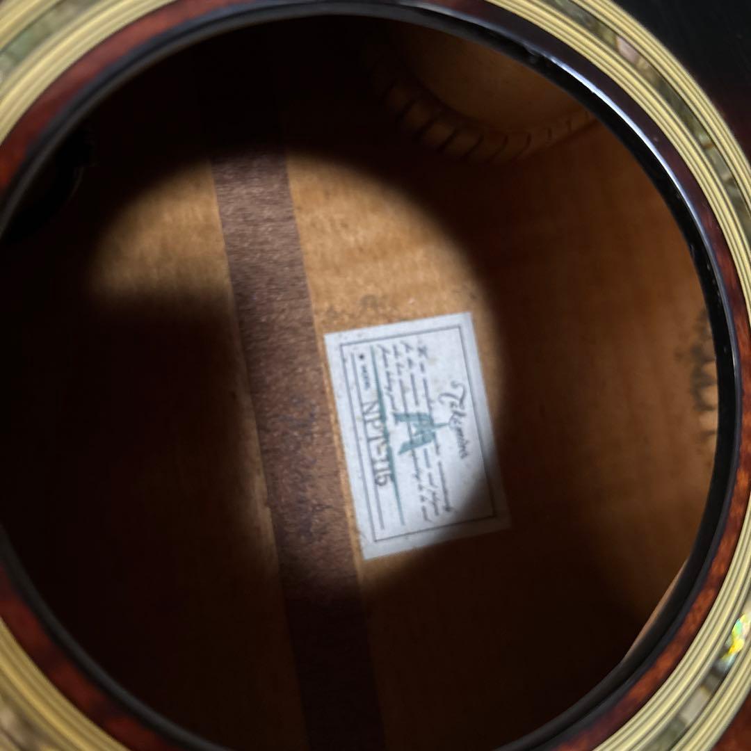 タカミネ NPT-115 エレアコ ハードケースつき