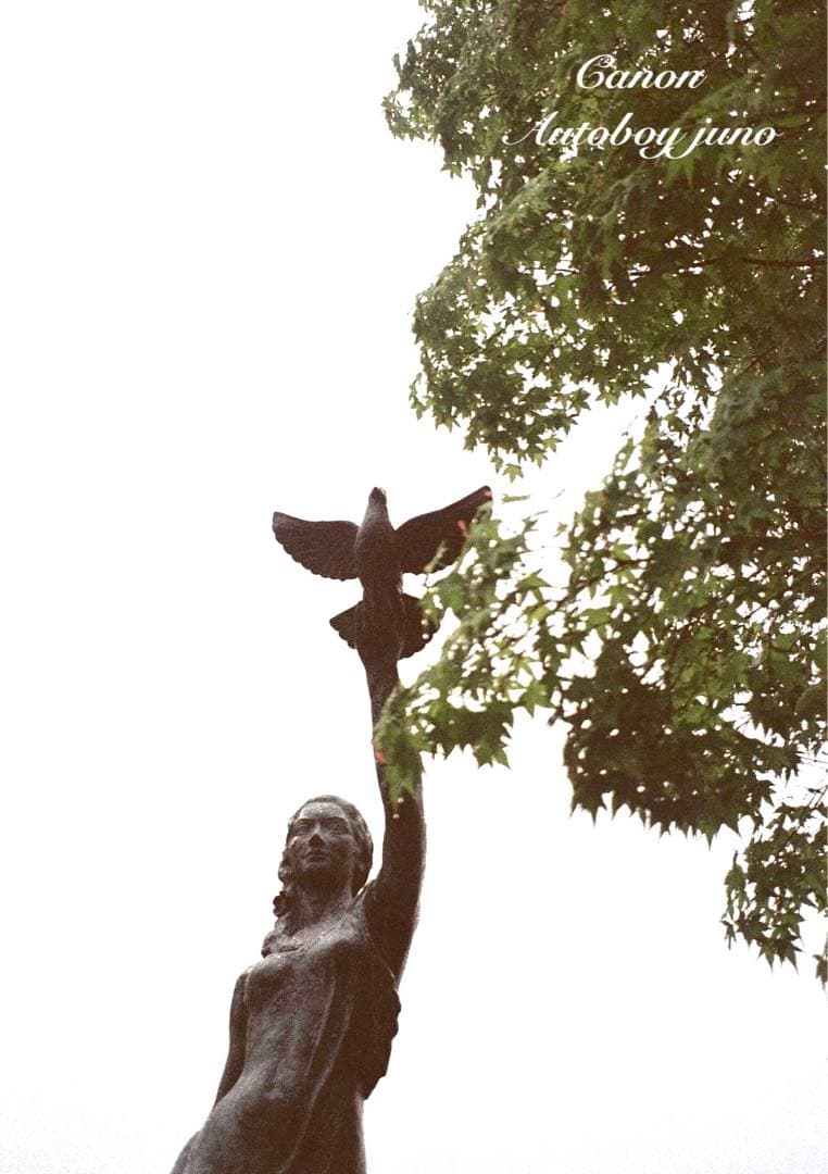 ★完動品・美品・初期保証付★canon autoboy juno ★フィルム入門