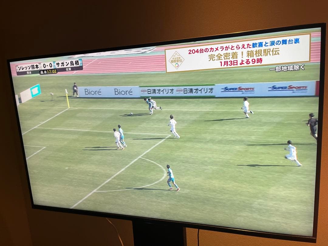 goriryo33 SONY テレビ本体