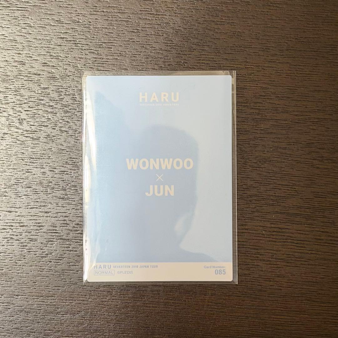 SEVENTEEN HARU ウォヌ ジュン ペア トレカ