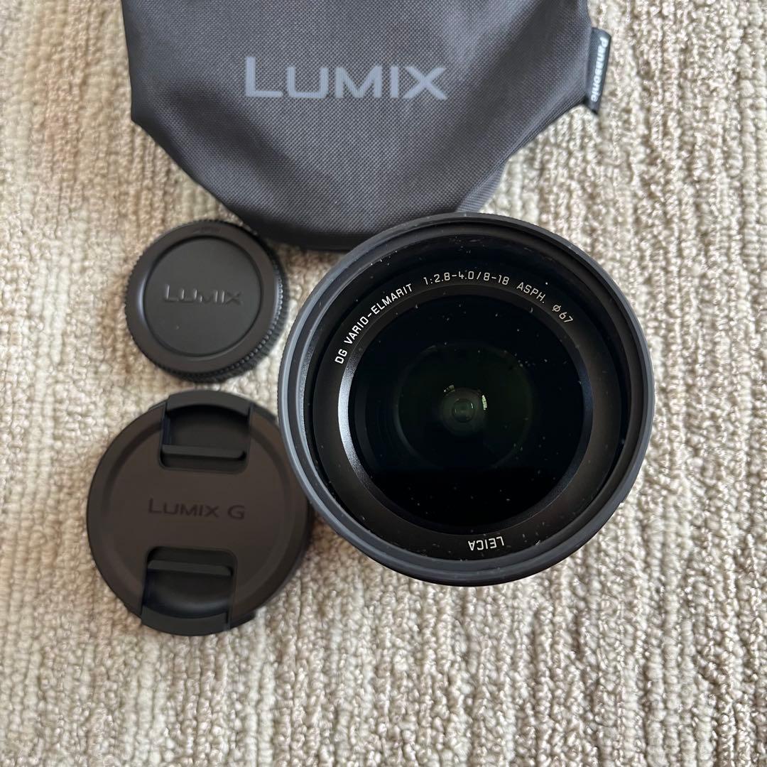 パナソニック H-08018 LEICA DG VARIO-ELMARIT