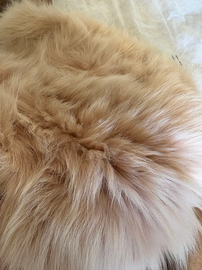 本日限定値下げ⭐︎VIOLAd'ORO⭐︎ベージュファー ハンドバッグ