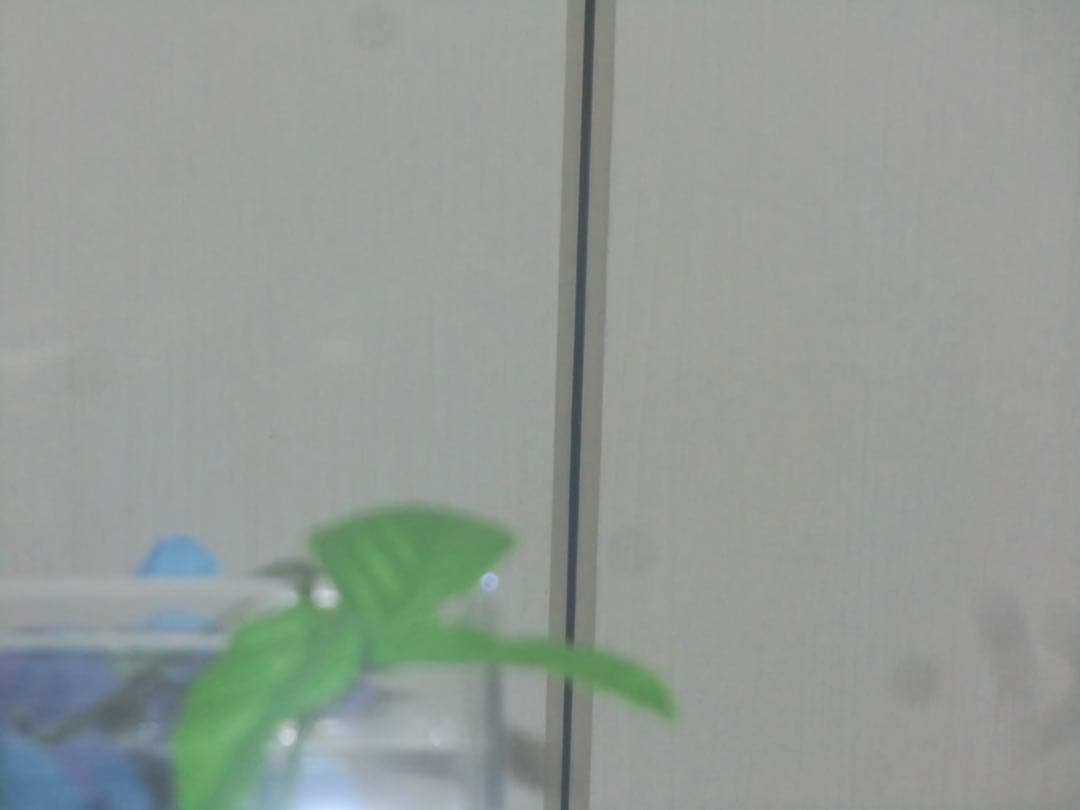 CASIO カメラ　エクシリム　EX-H15 充電器　ブラウン コンデジ　動作品