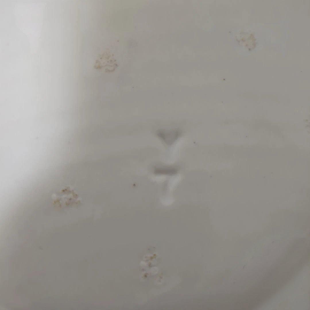 【岡田直人さん】未使用品　 八角形　平皿　 2枚セット オクトゴナル　プレート