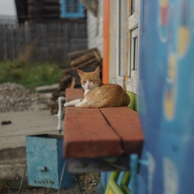 66　美品　初期型　ジュピター 8 　2/50 L39　分解洗浄済み