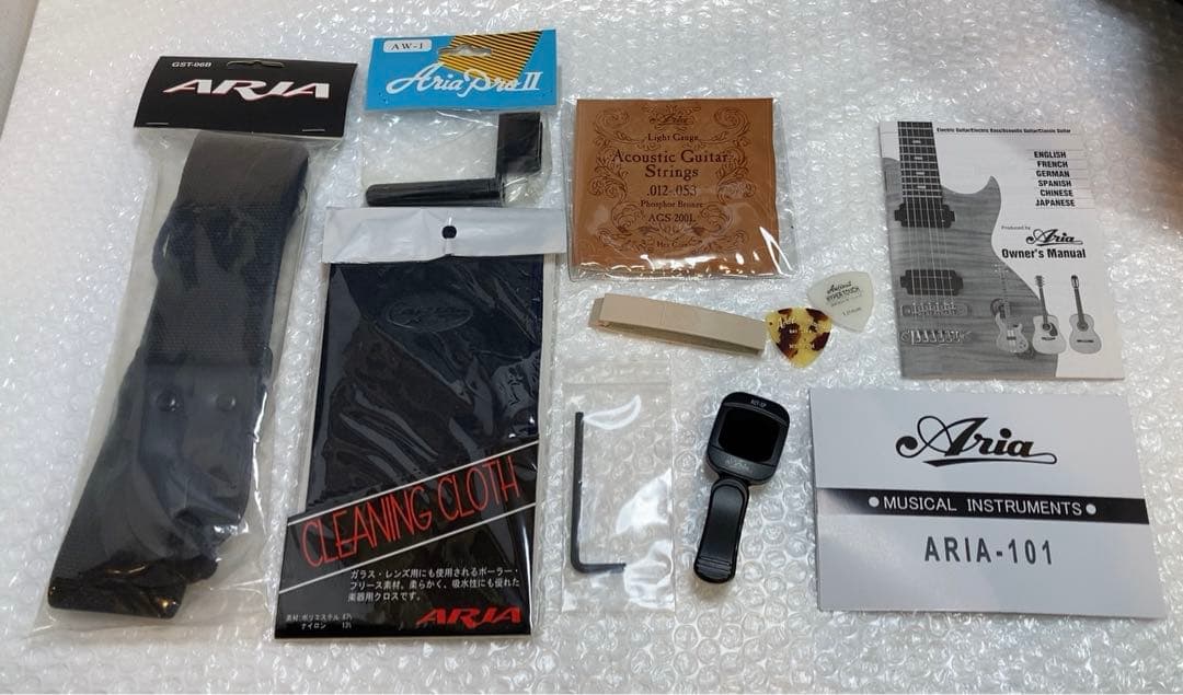 Aria アコースティックギター　ARIA-101MTN