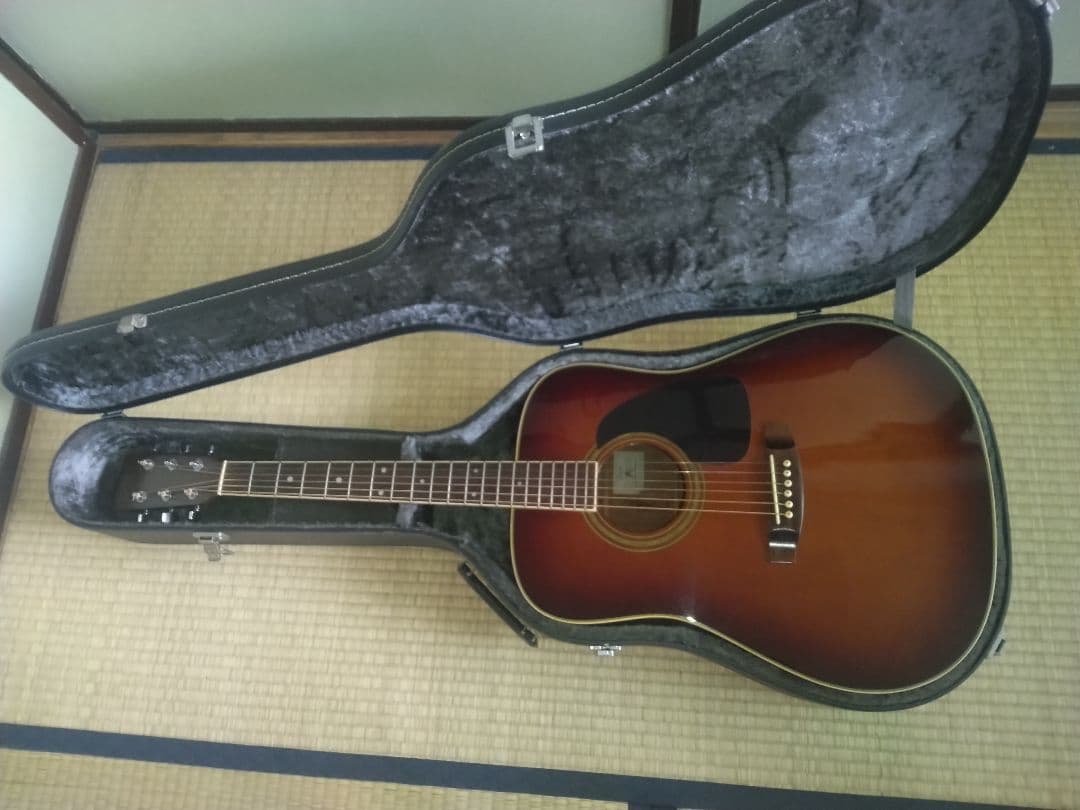 タカミネギター