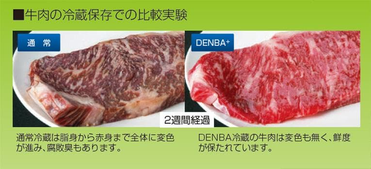 新品未開封 DENBA Fresh デンバフレッシュ 冷蔵庫用鮮度保持装置
