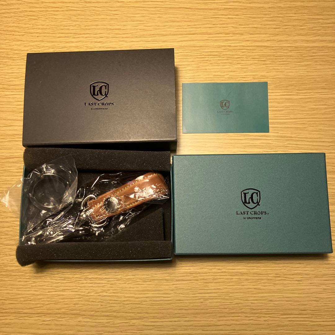 ラストクロップス　サテライトII