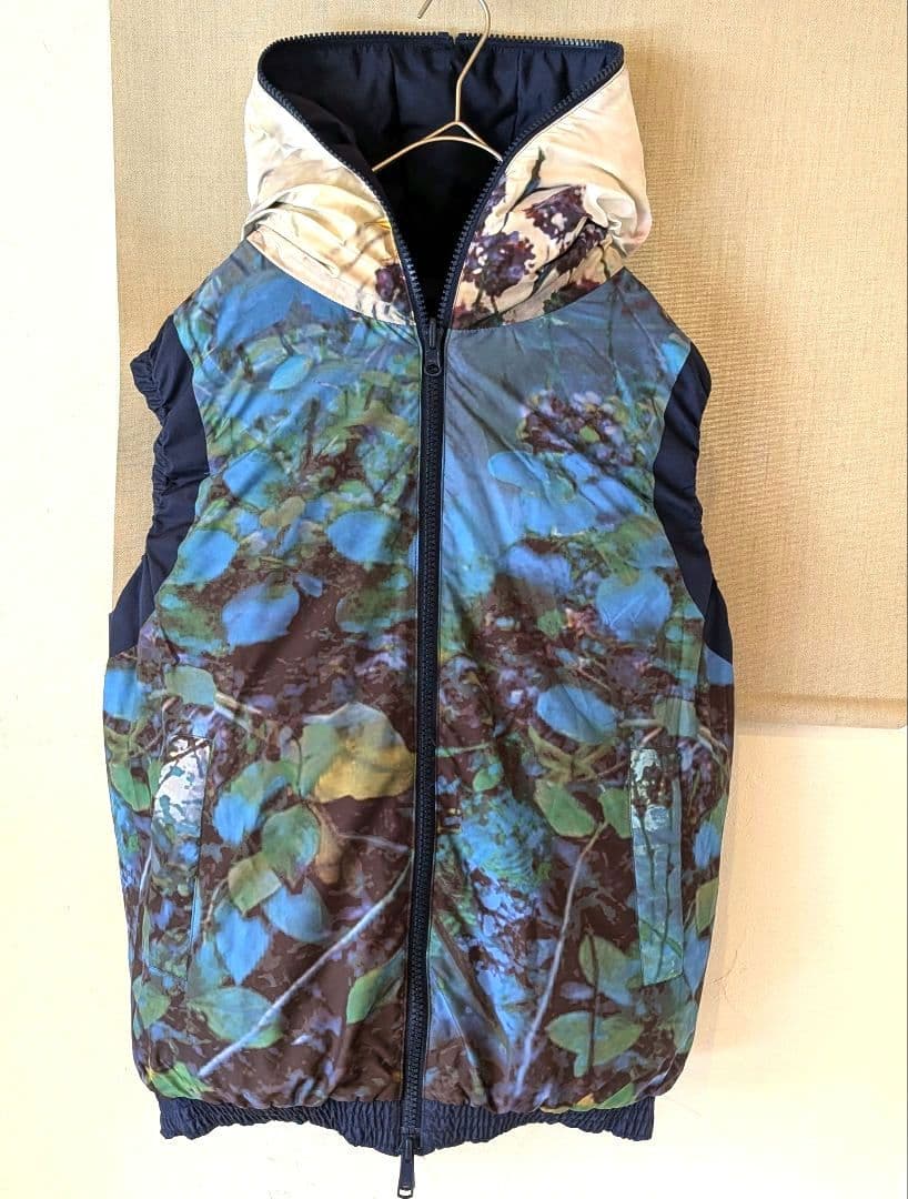 Tsumori Chisatoツモリチサト　ダウンベストリバーシブル　風景画