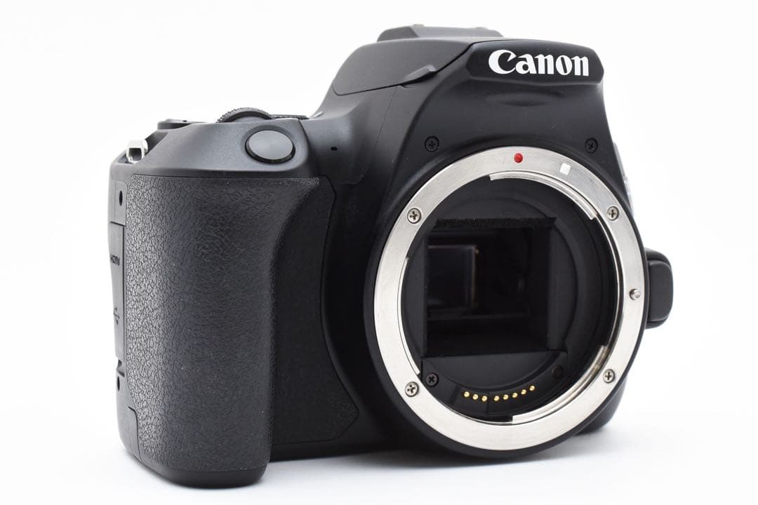 保証付き/一眼レフカメラcanon kiss x10標準&望遠ダブルレンズセット