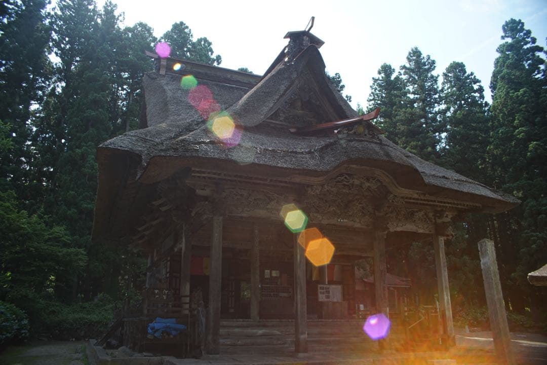 作例付き　RMC TOKINA 28-85mm F4 OM 管mpr