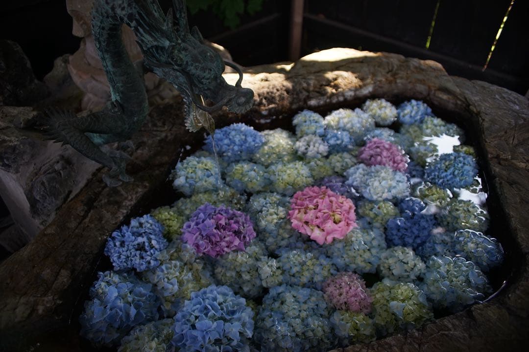 作例付き　RMC TOKINA 28-85mm F4 OM 管mpr