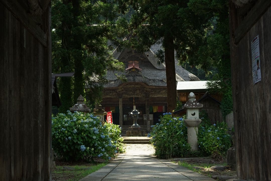 作例付き　RMC TOKINA 28-85mm F4 OM 管mpr