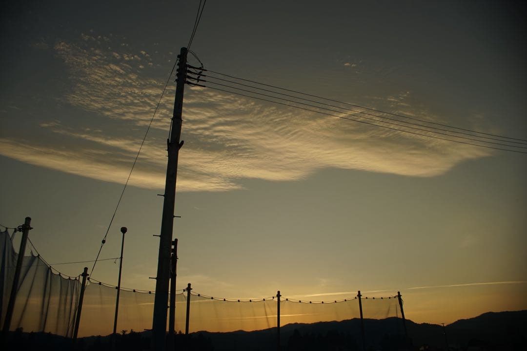 作例付き　RMC TOKINA 28-85mm F4 OM 管mpr