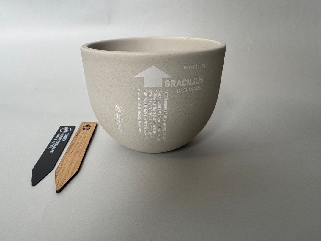 VALIEM aobouze別注Sサイズ srl カタチ製作所 spicygem