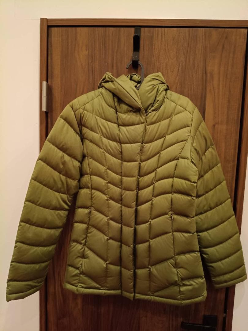 patagonia フード付きダウンジャケットレディースMsize