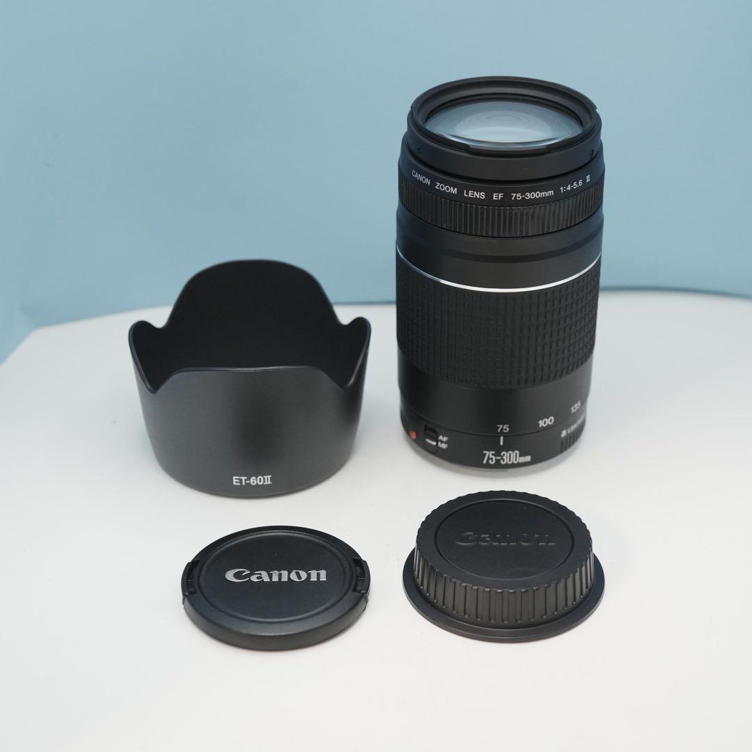 Canon純正 75-300mm 望遠レンズ 美品 a4716