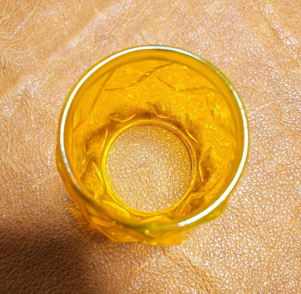 iwatadenki 限定グリーンホヤ　デイツランタン78　その他ホヤ