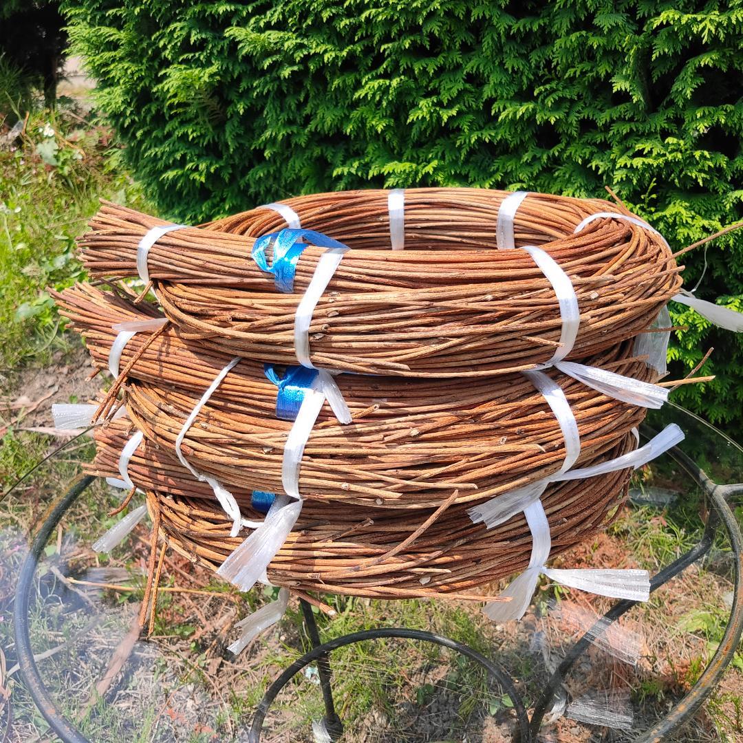 (委託品)青森県岩木山採取　あけび蔓　150cm～　3.2kg