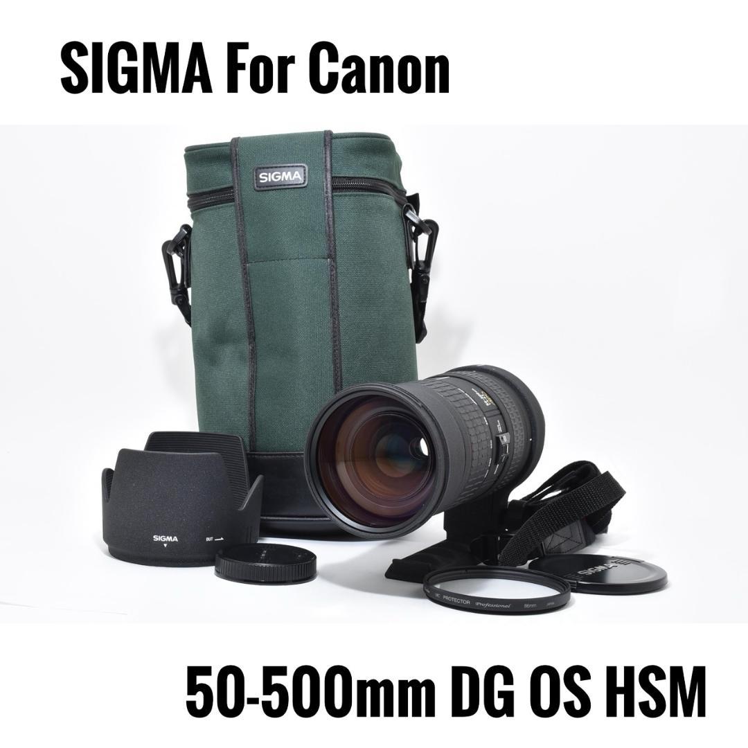 【大迫力！超望遠】SIGMA 50-500mm DG OS HSM キャノン用
