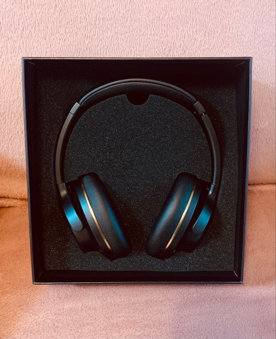 AVIOT WA-V1-PNK ピッドホン3 ピエール中野監修モデル　未使用品