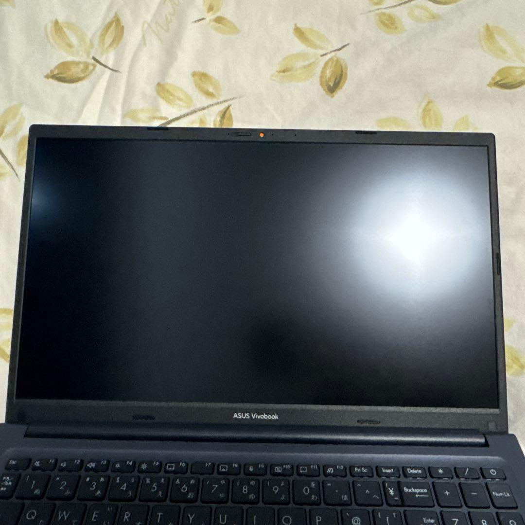 ASUS Vivobook 15/15.6型　M1502IA-BQ071WS