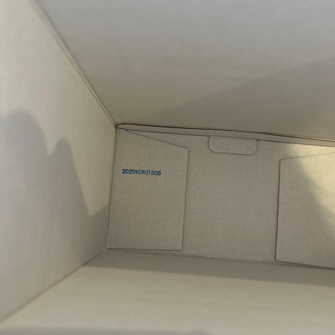 xtep 160x 3.5pro 27.5センチ