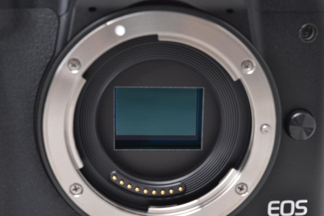 ■ 美品 ■ Canon EOS Kiss M2 (EOS M50 MARKⅡ)