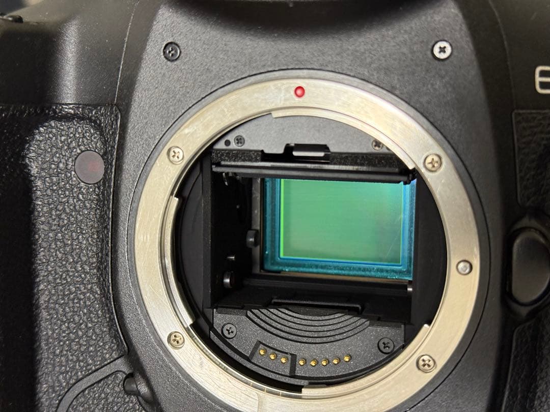 Canon EOS-1D Mark III 現状品