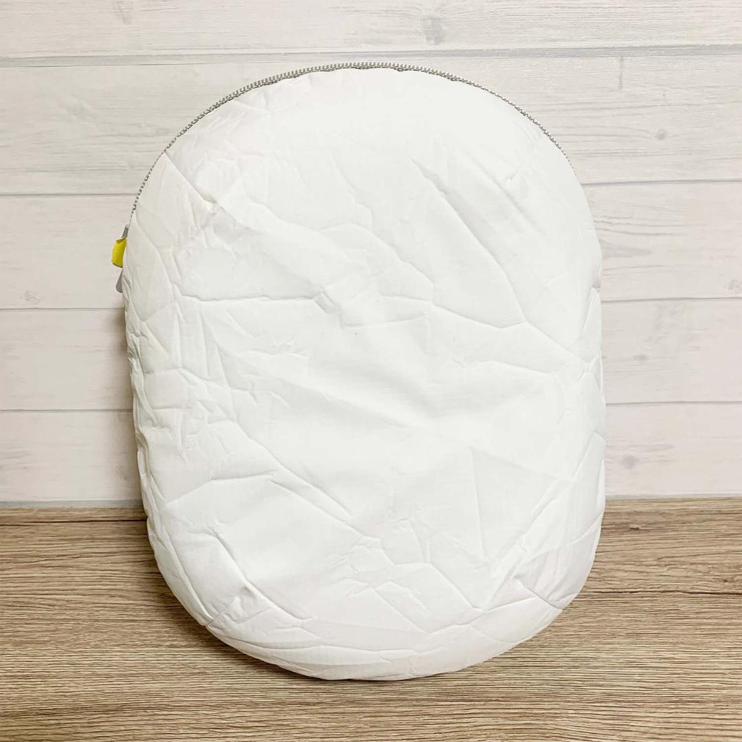 【美品】純正Apple Vision Pro トラベルケース