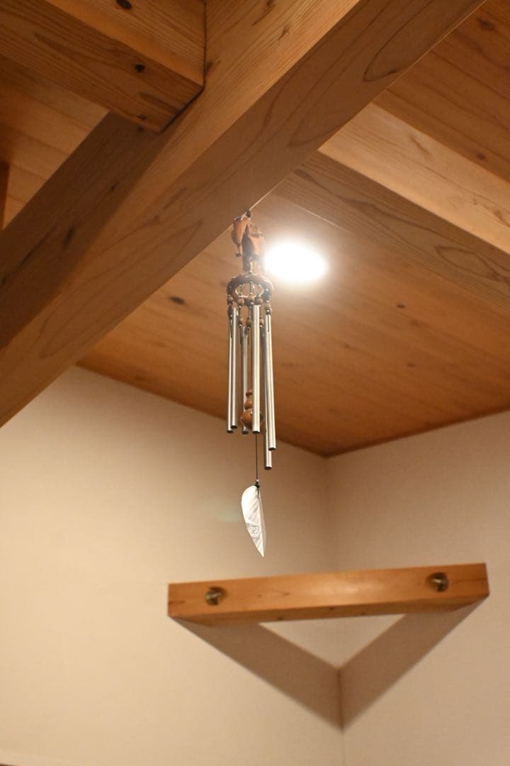 Nikon Z fc ミラーレス一眼 ブラック