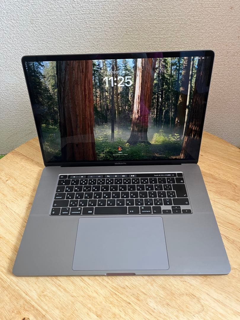 MacBook Pro 2019 32GB 1TB ストレージ