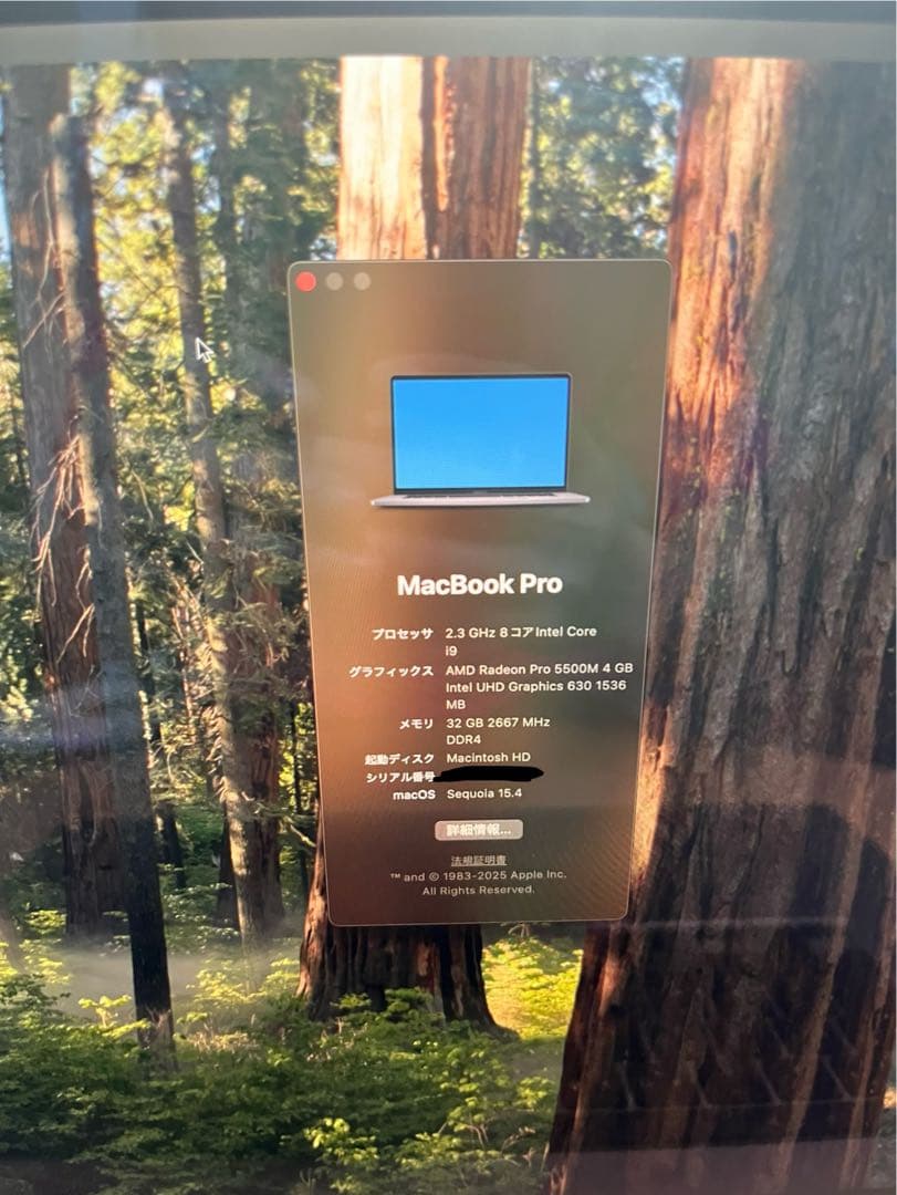 MacBook Pro 2019 32GB 1TB ストレージ