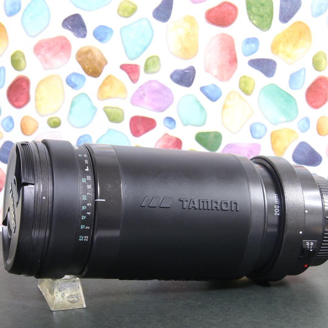 ♥︎◇高性能望遠レンズ♪ ◇TAMRON 200-400ｍｍ canon ◇美品