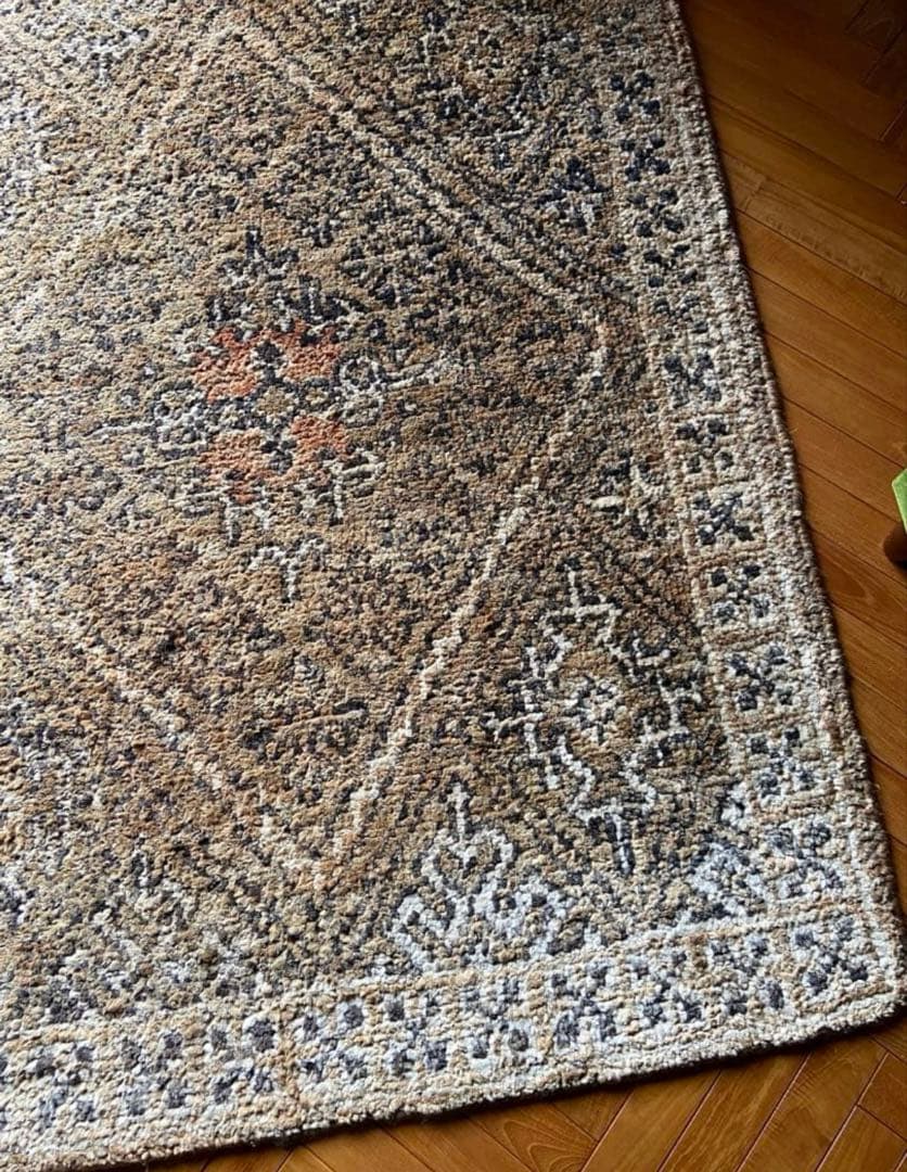 アクメファニチャー　バンナイズラグ