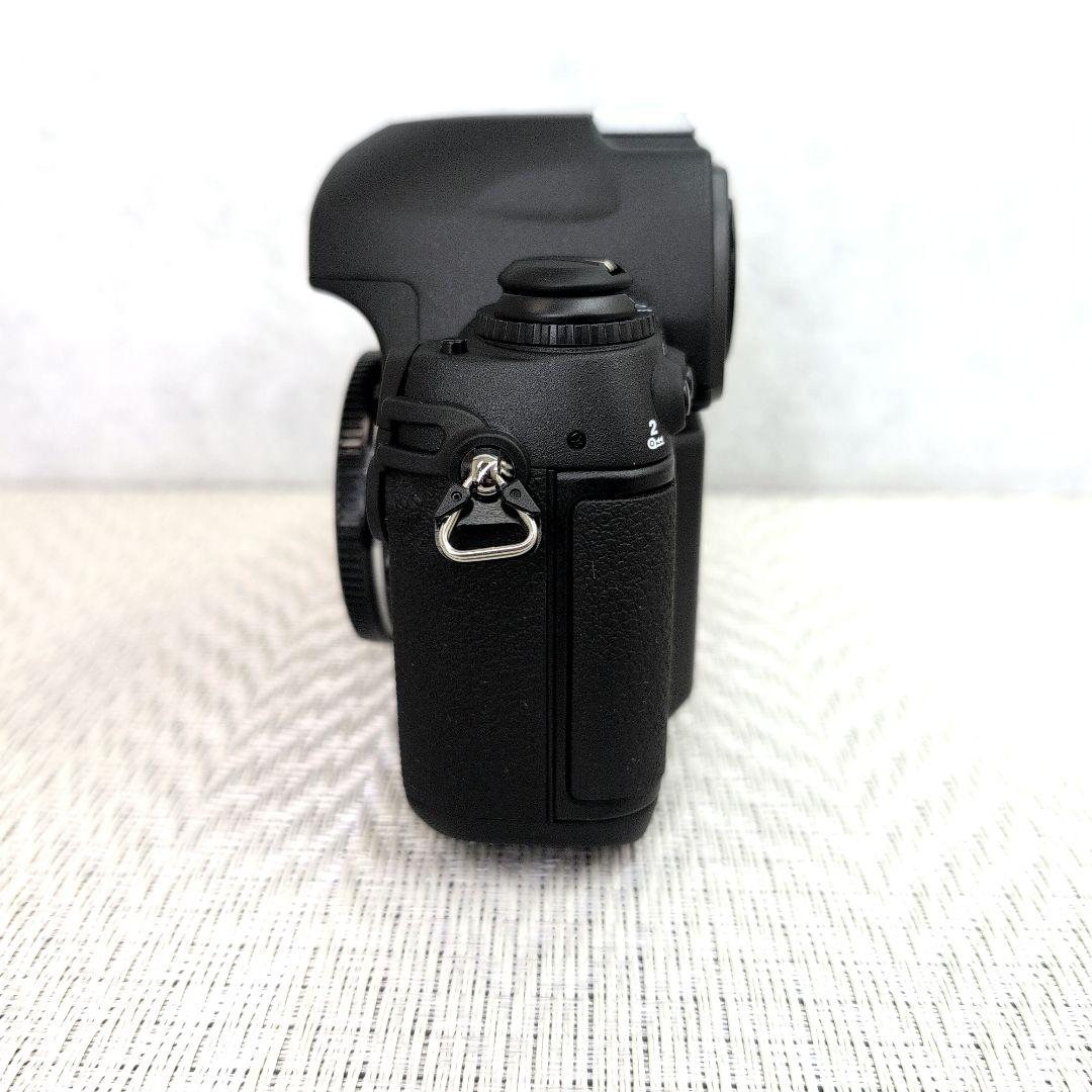 Nikon　ニコンF6　MB-40マルチバッテリー　レンズ　ソフトケース他セット