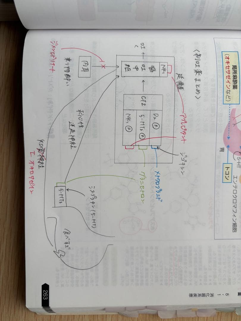 【薬ゼミ1年コース】第109回 青本 青問 薬剤師国家試験対策参考書