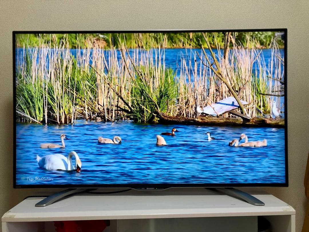 美品 SHARP 50インチ 4K 液晶テレビ LC-50U30 50型